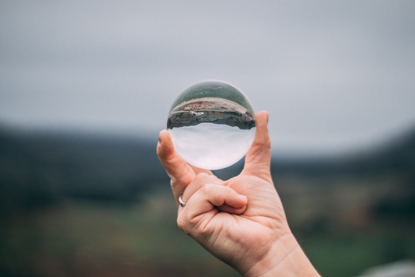 magnifying glass