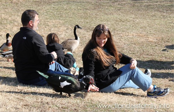 A family trip to Gatlinburg, Tennessee -- what to do while you're there.