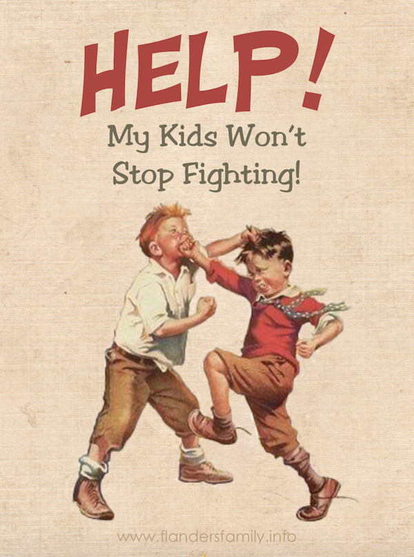 Q&A: My kids are so mean to each other! Here are 6 Tips to Keep the Fighting at Bay, from www.flandersfamily.info