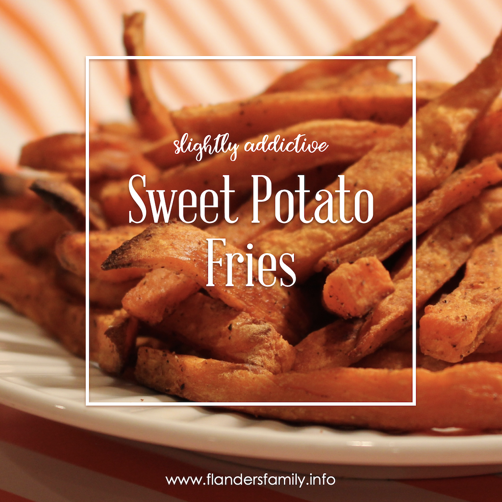 Slightly Addictive Sweet Potato Fries