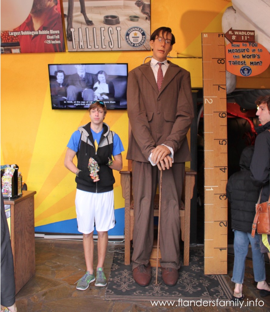 Ripley's Guinness World of Records Museum