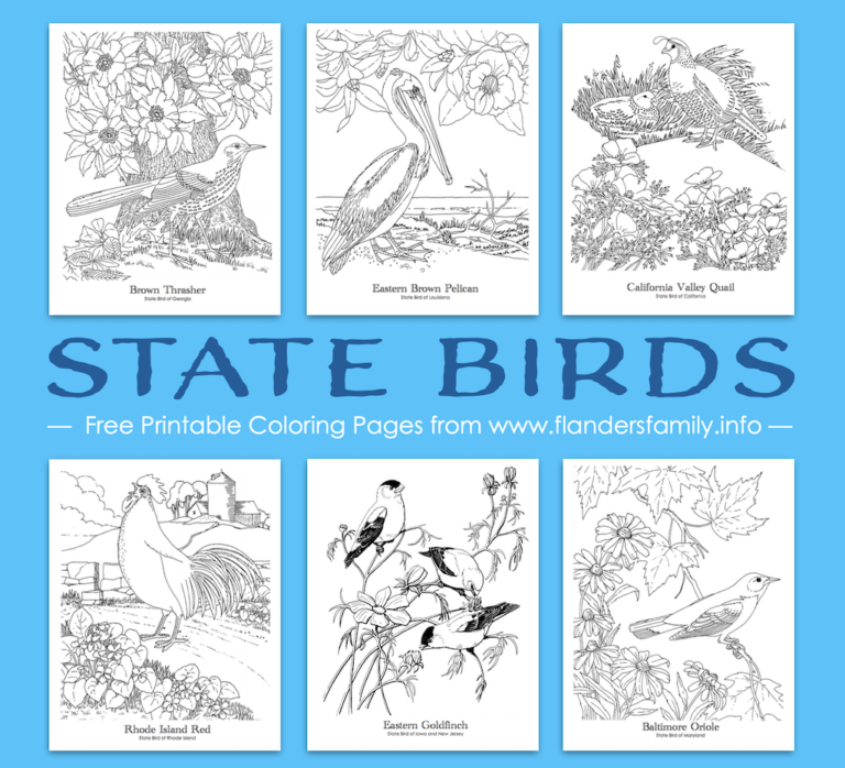 State Bird Coloring Pages (Free Printable)