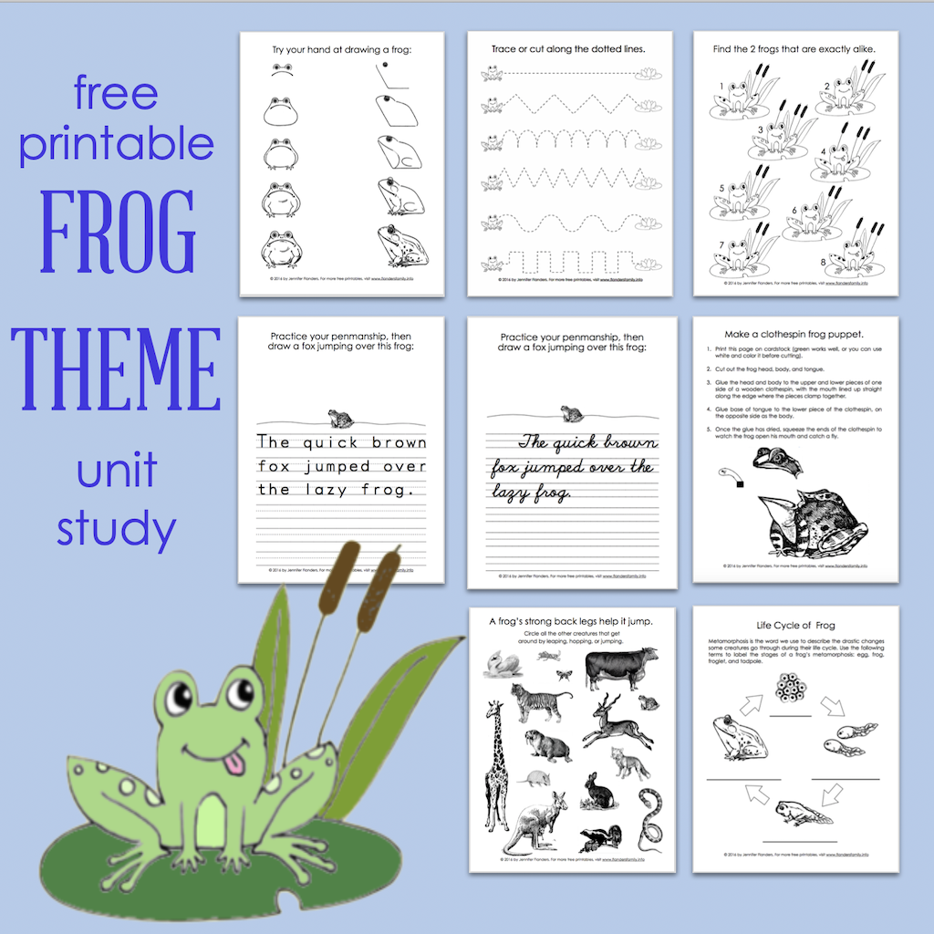 Frog Life Cycle Worksheet Cut And Paste