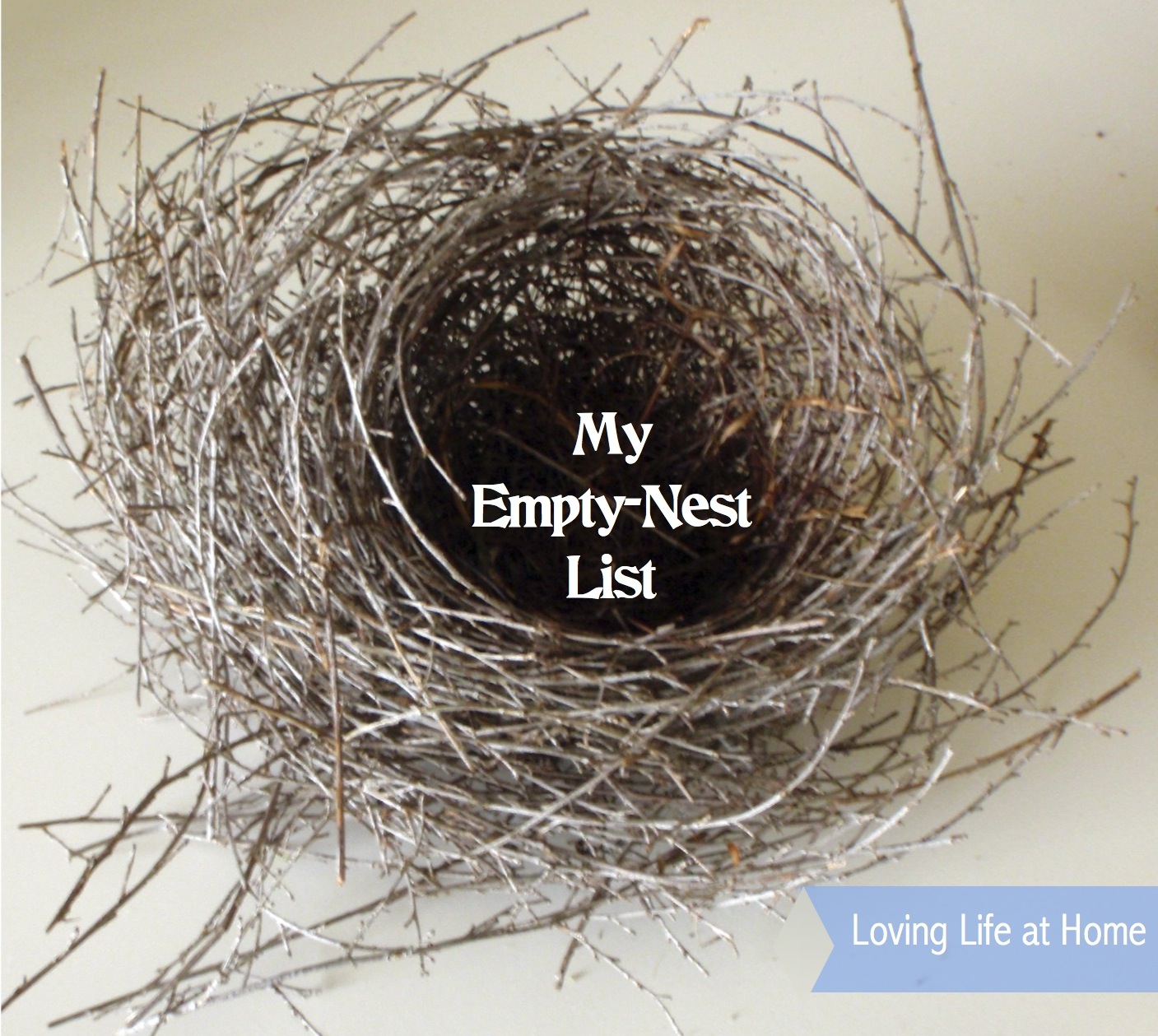 What s on Your Empty Nest List - Flanders Family Homelife