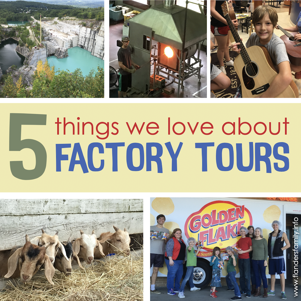 5 Things to Love about Factory Tours