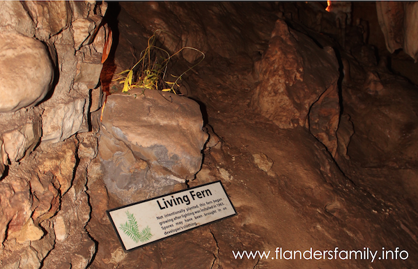 Exploring Texas: Natural Bridge Caverns 