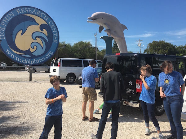 Getting up close and personal with marine mammals at Dolphin Research Center