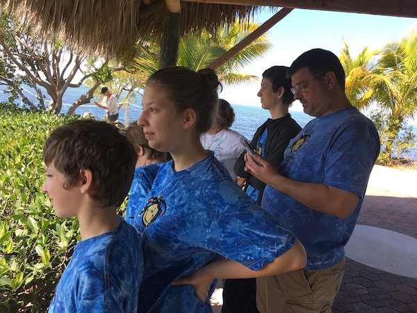 Getting up close and personal with marine mammals at Dolphin Research Center