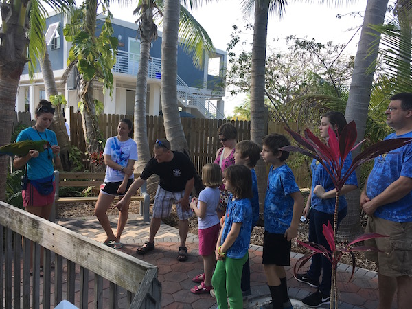 Getting up close and personal with marine mammals at Dolphin Research Center