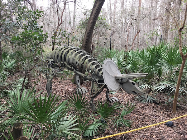 The Tallahassee Museum - A Hidden Gem