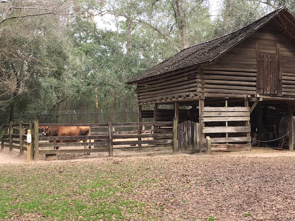 The Tallahassee Museum - A Hidden Gem