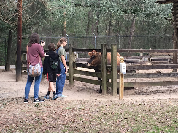 The Tallahassee Museum - A Hidden Gem