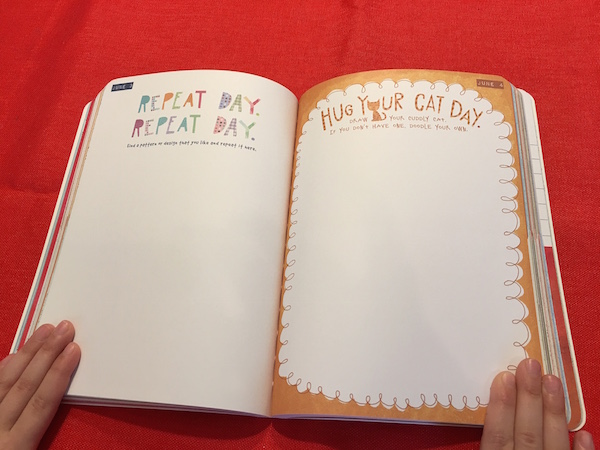 Doodle Your Day - What a cute journal for kids!