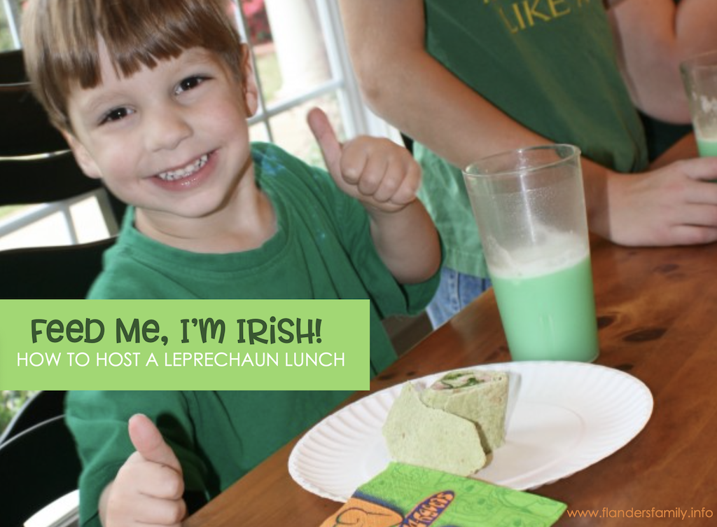 Feed Me I'm Irish