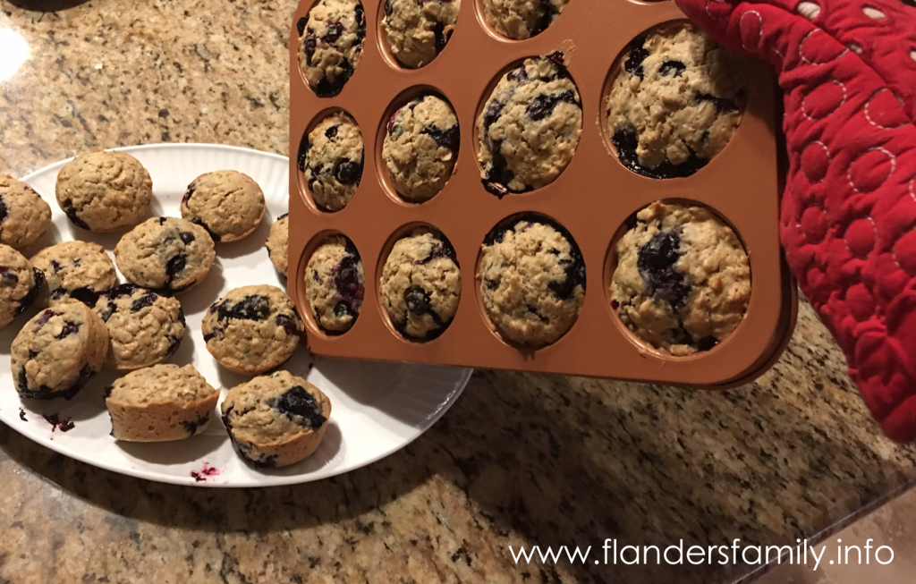 Blueberry Oat Muffins