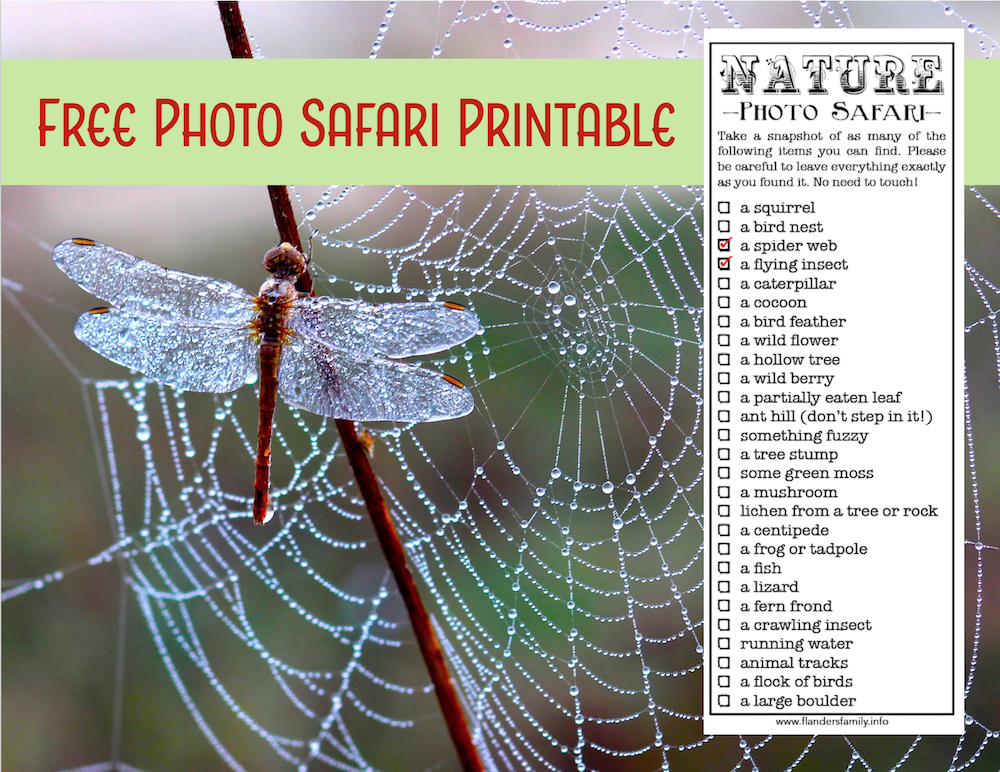 Free Photo Safari Printable