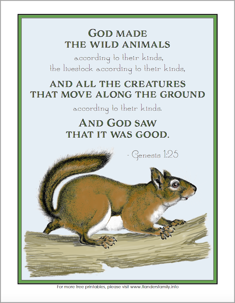 God Made Wild Animals Coloring Page