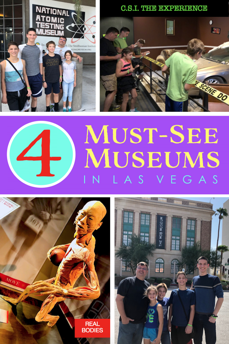 4 Must-See Museums in Las Vegas