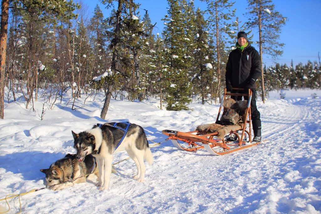 Dog Sledding in Sweden