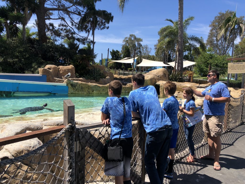 2018 Happenings - Sea World