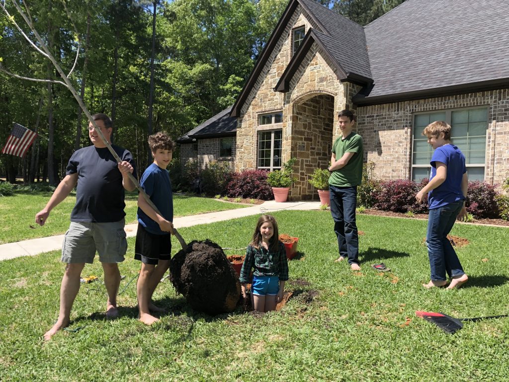 Planting Fruit Trees