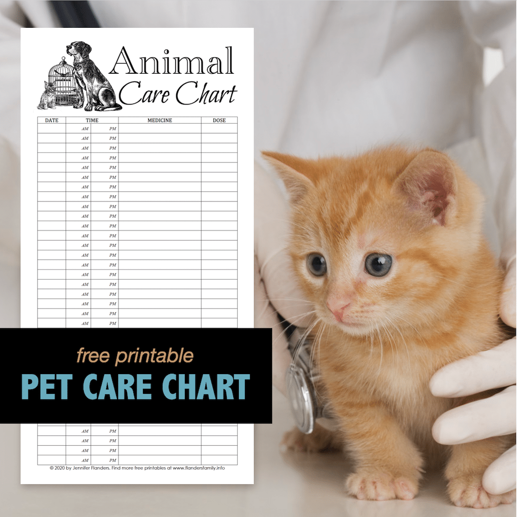 Animal Care Chart - IG