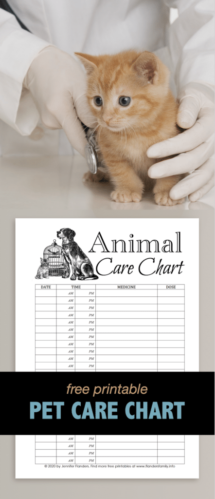 Animal Care Chart - Pinterest