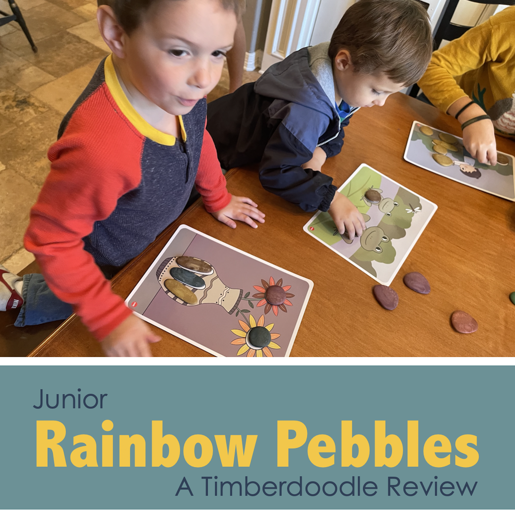 Junior Rainbow Pebbles Review