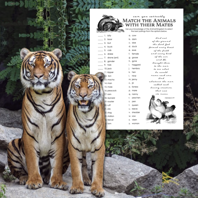 Animal Mates Matching Quiz (Free Printable)