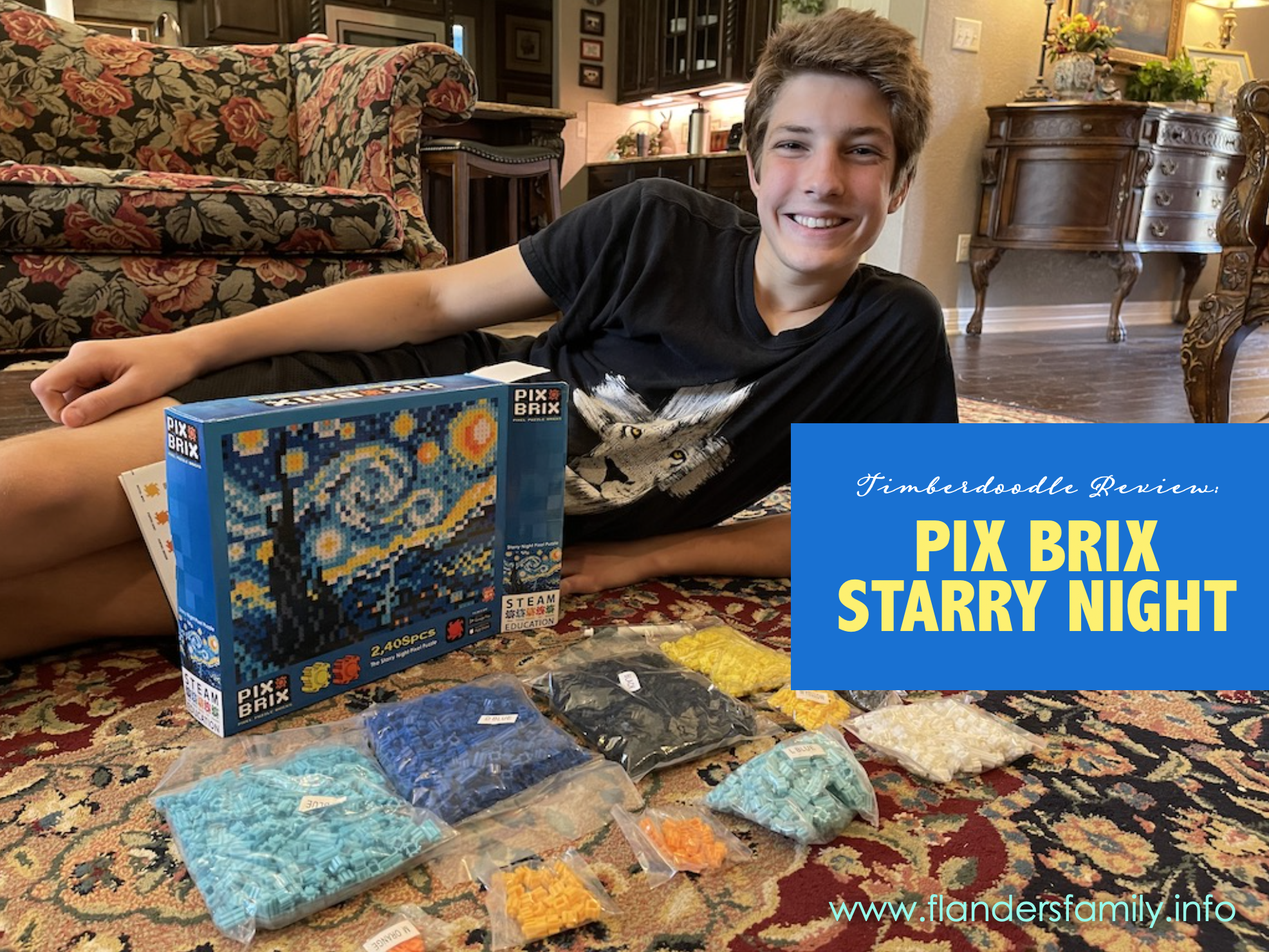 Pix Brix Starry Night Review