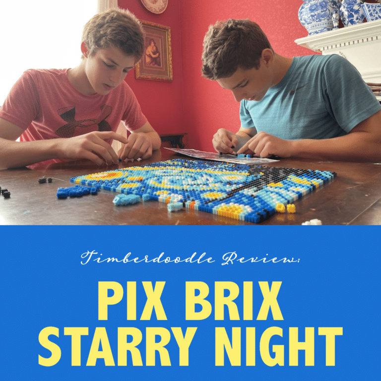 Pix Brix Starry Night Review