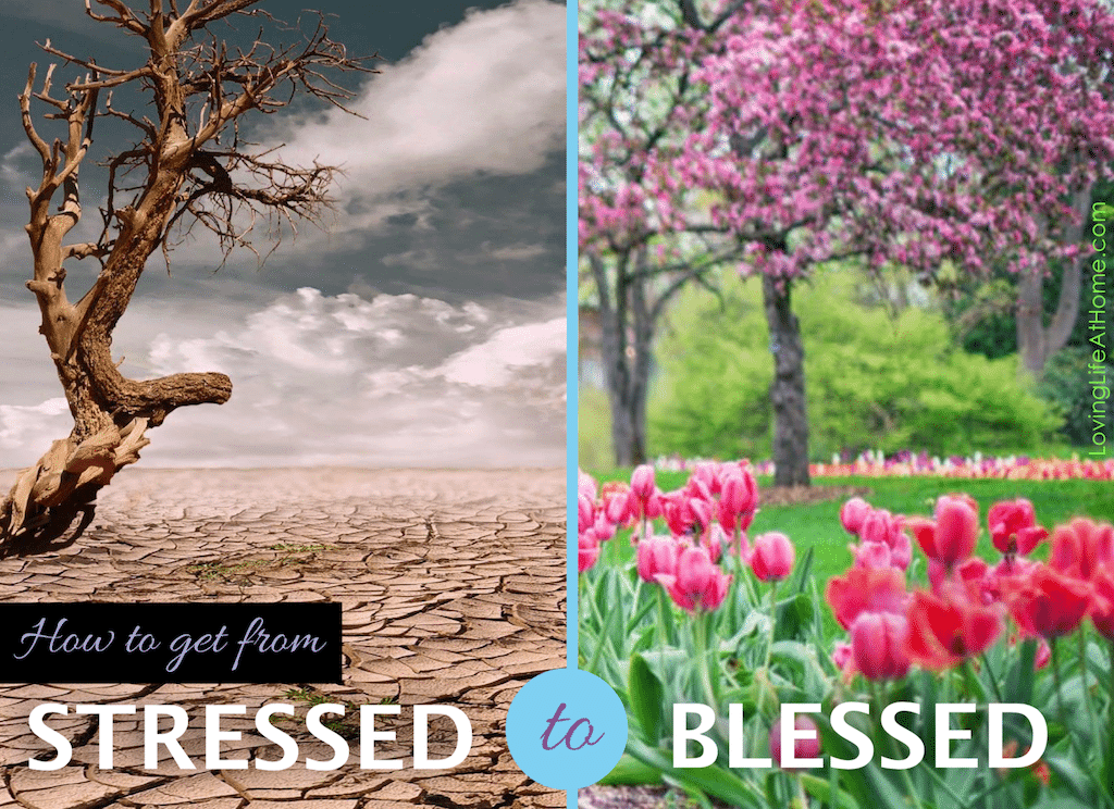 Going from Stressed to Blessed