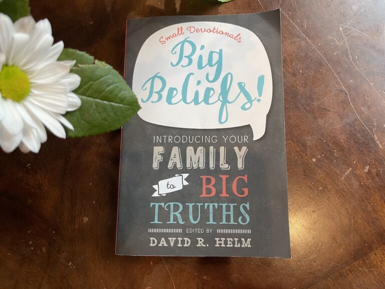 Big Beliefs (Timberdoodle Review)