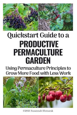 Atomic Habits and Productive Permaculture Garden