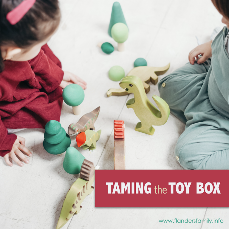 Taming the Toy Box: Organization Tips