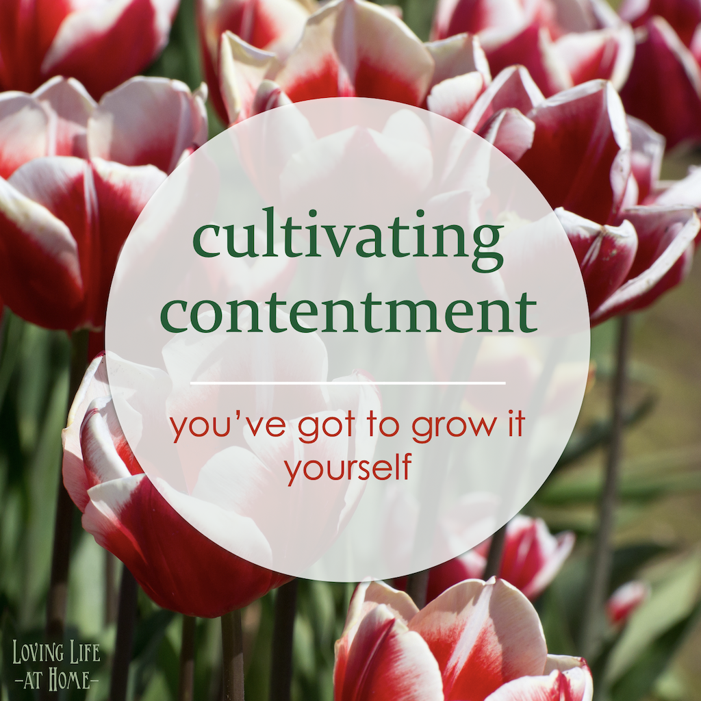 cultivate contentment on attitude day (June Holidays)