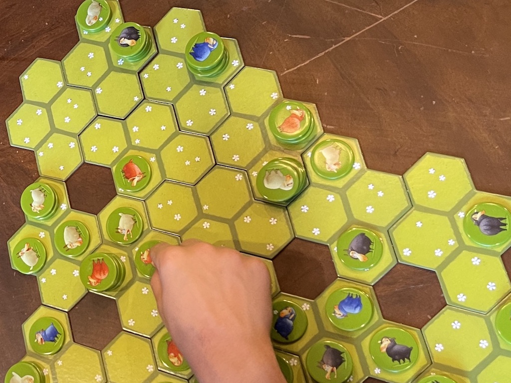 Close up of Game Board