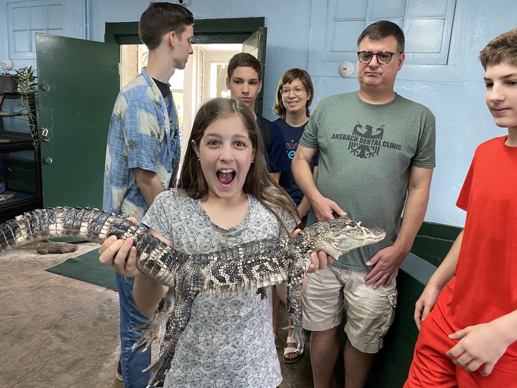 Baby Gators