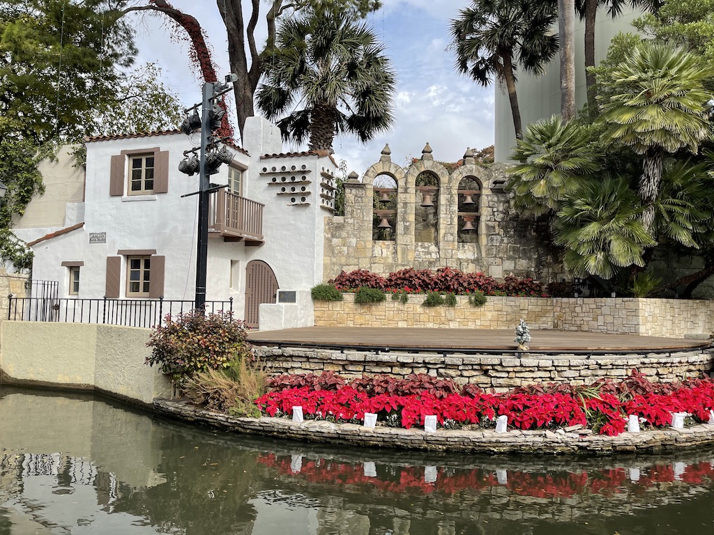 2020 December Poinsettias