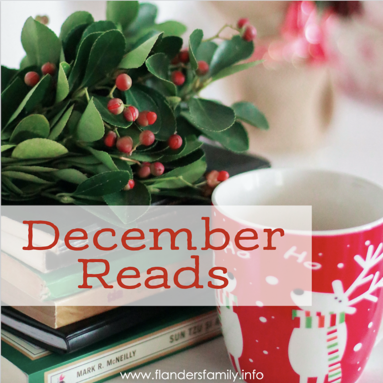 Crazy Busy (& More December Reads)