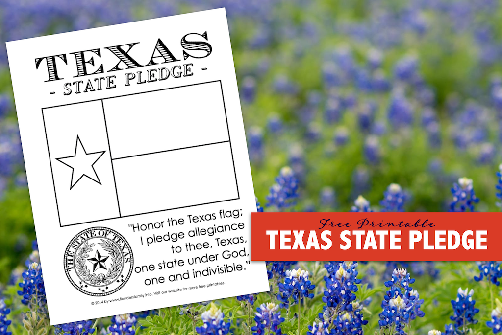 Texs State Pledge 