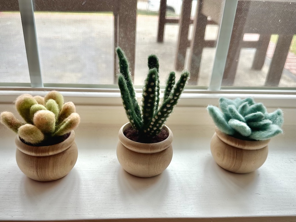 Succulents Needle Felting Kit 