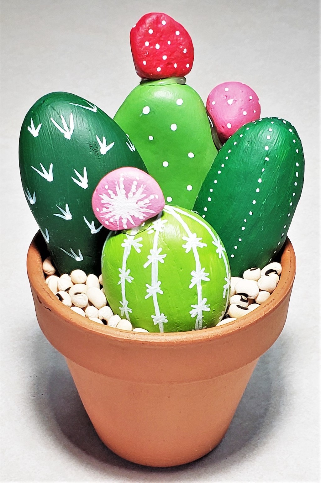 Rock Craft - Cactus Garden