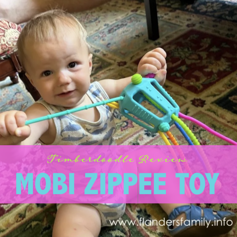 Mobi Zippee Toy Review