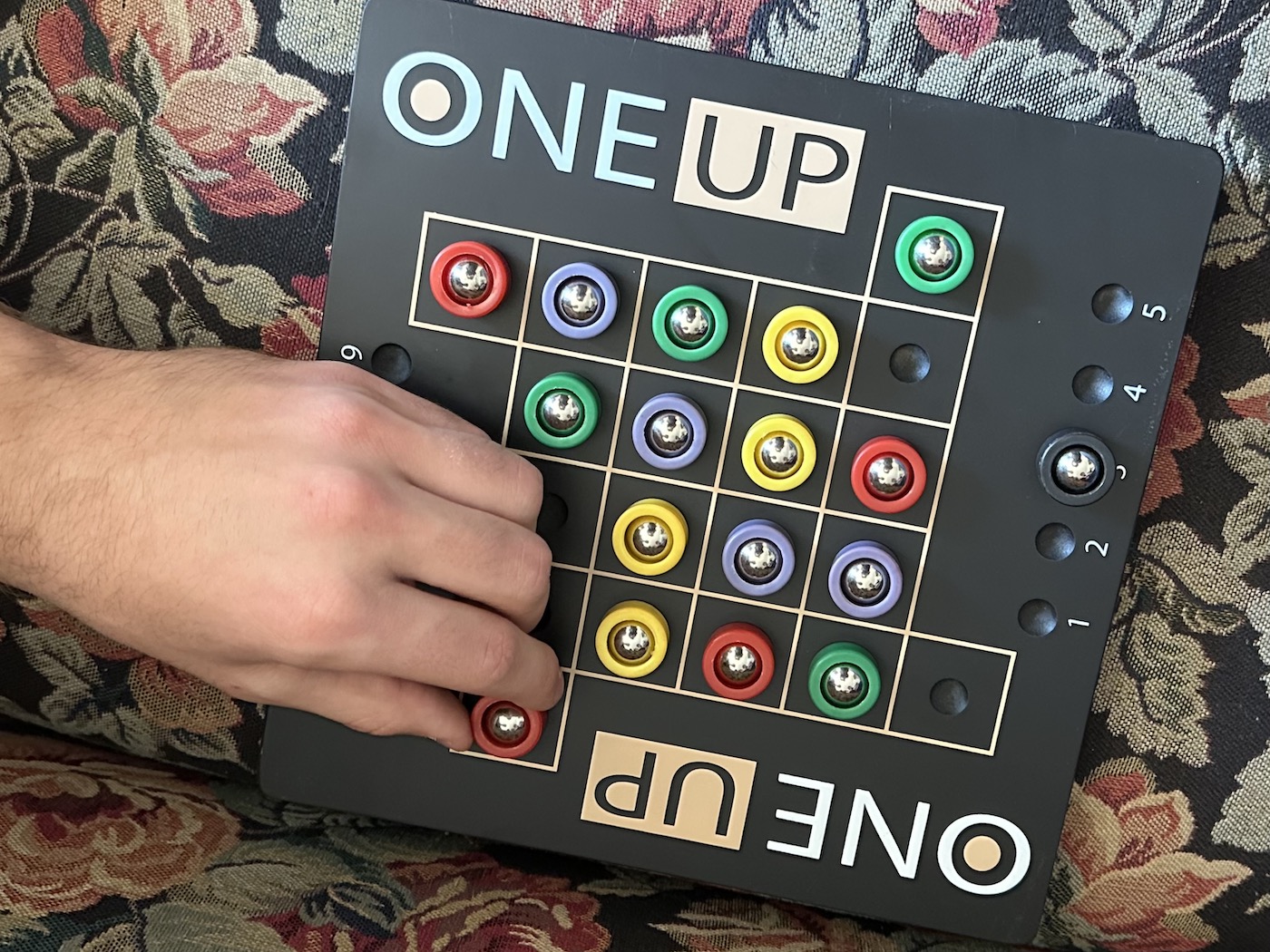 One Up (Timberdoodle Review)