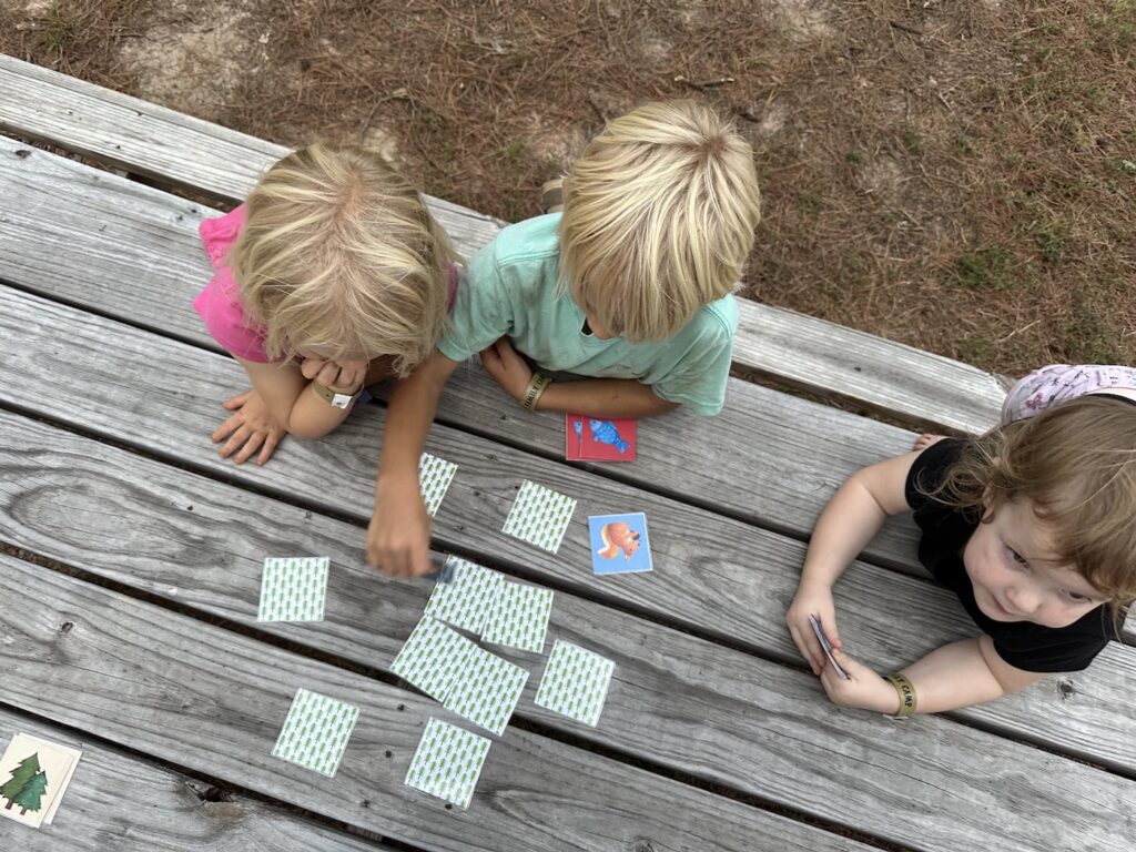 Free Printable Camp Themed Memory Game